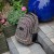 PLB7A08-8.jpg_compressed.JPEG